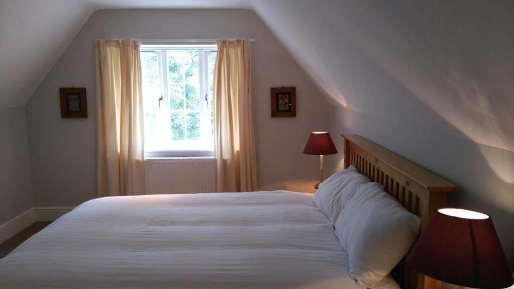 The Shoe Inn Plaitford المظهر الخارجي الصورة